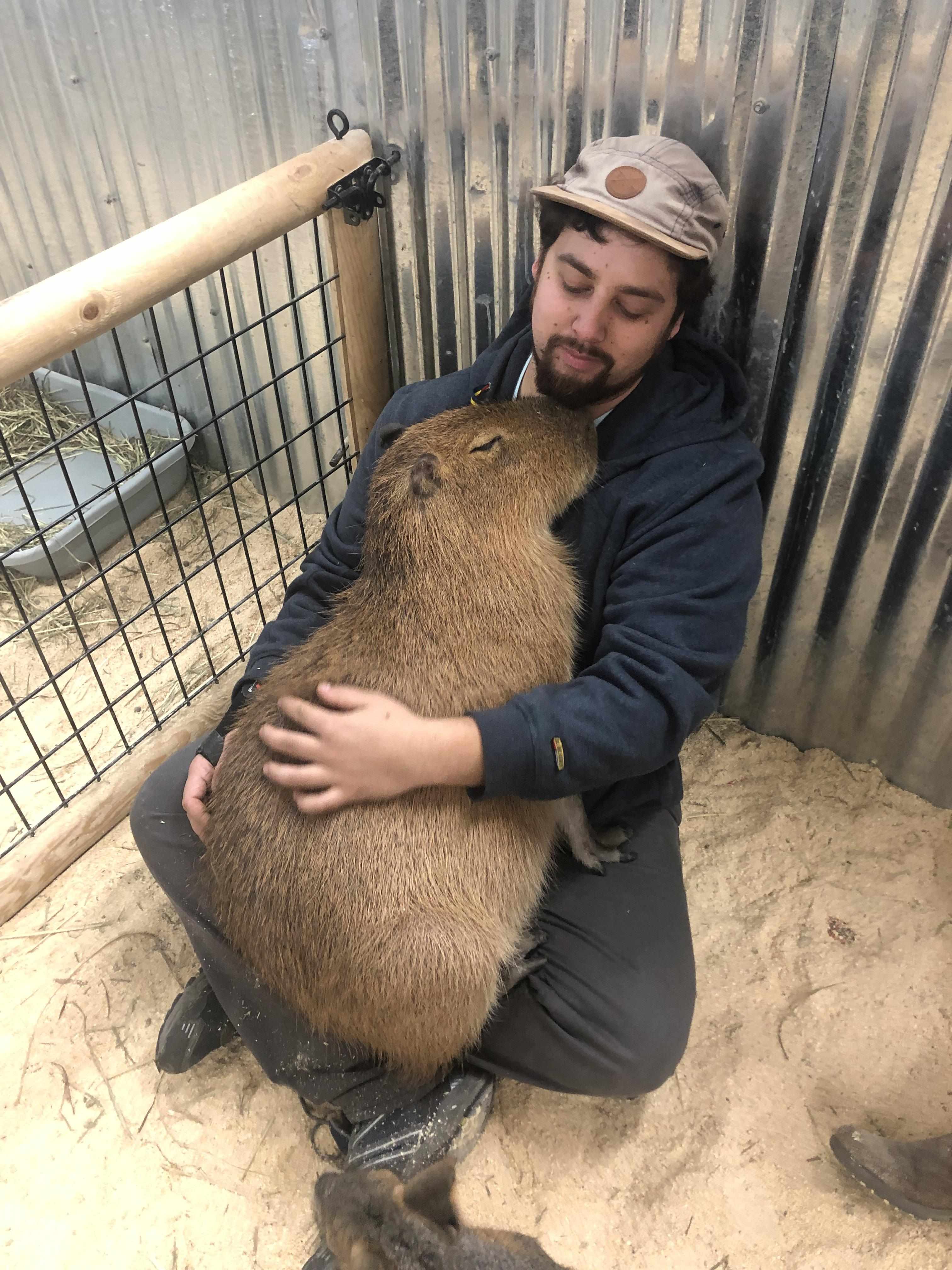 🐾 카피바라 랜드 뿌이뿌이 (Capybara Land PUIPUI) 이미지 7
